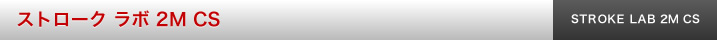 ストローク ラボ 2M CS パター