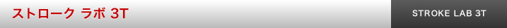 ストローク ラボ 3T パター